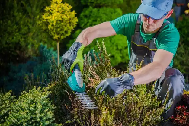 landscaping services Matinecock